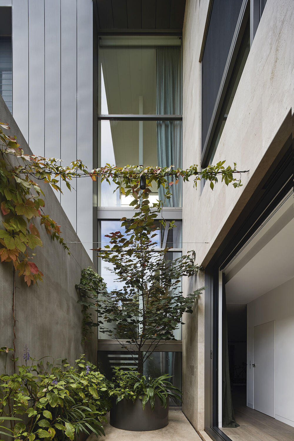 Robson Rak Architects – Evergreen