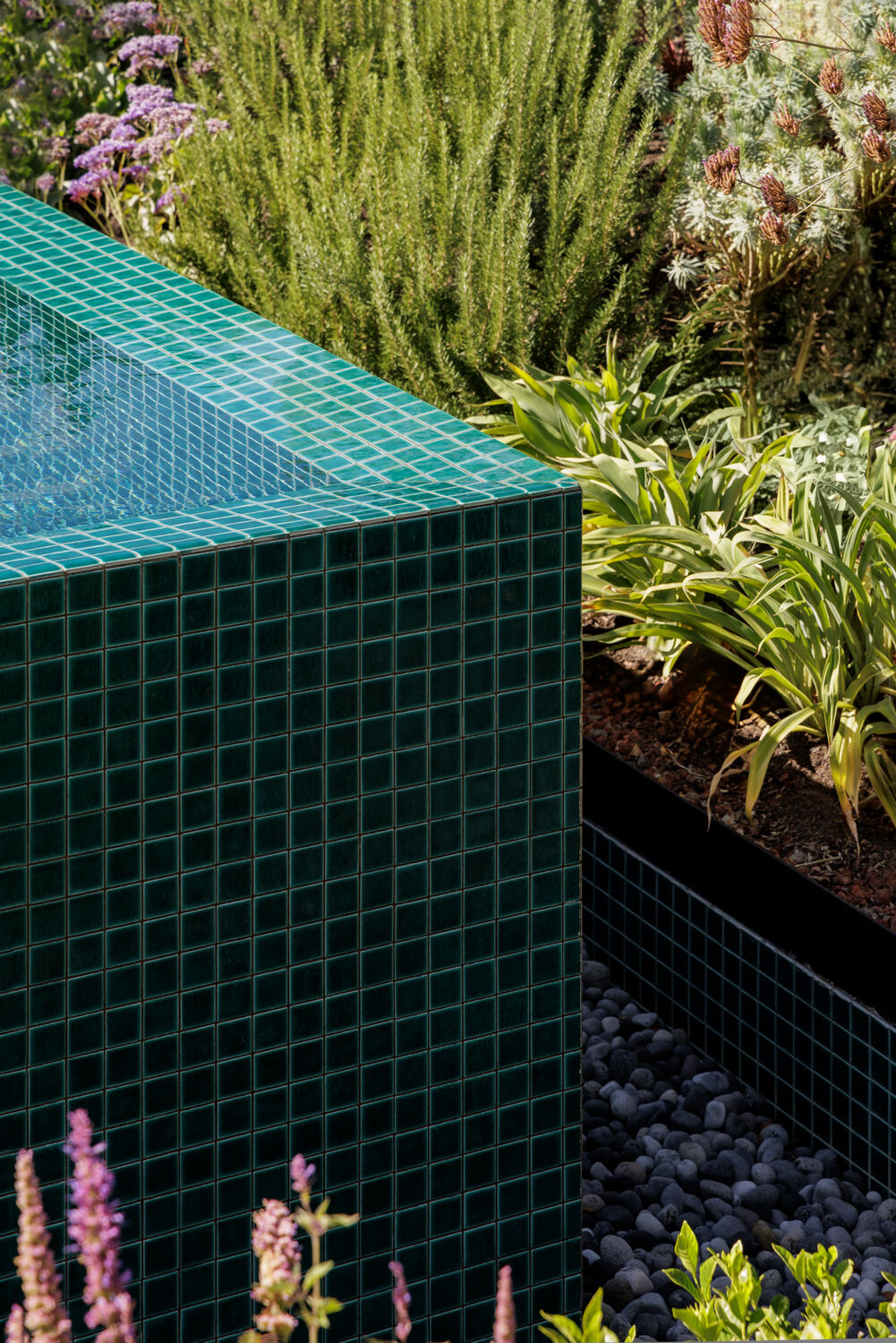 Robson Rak Architects – Kassia