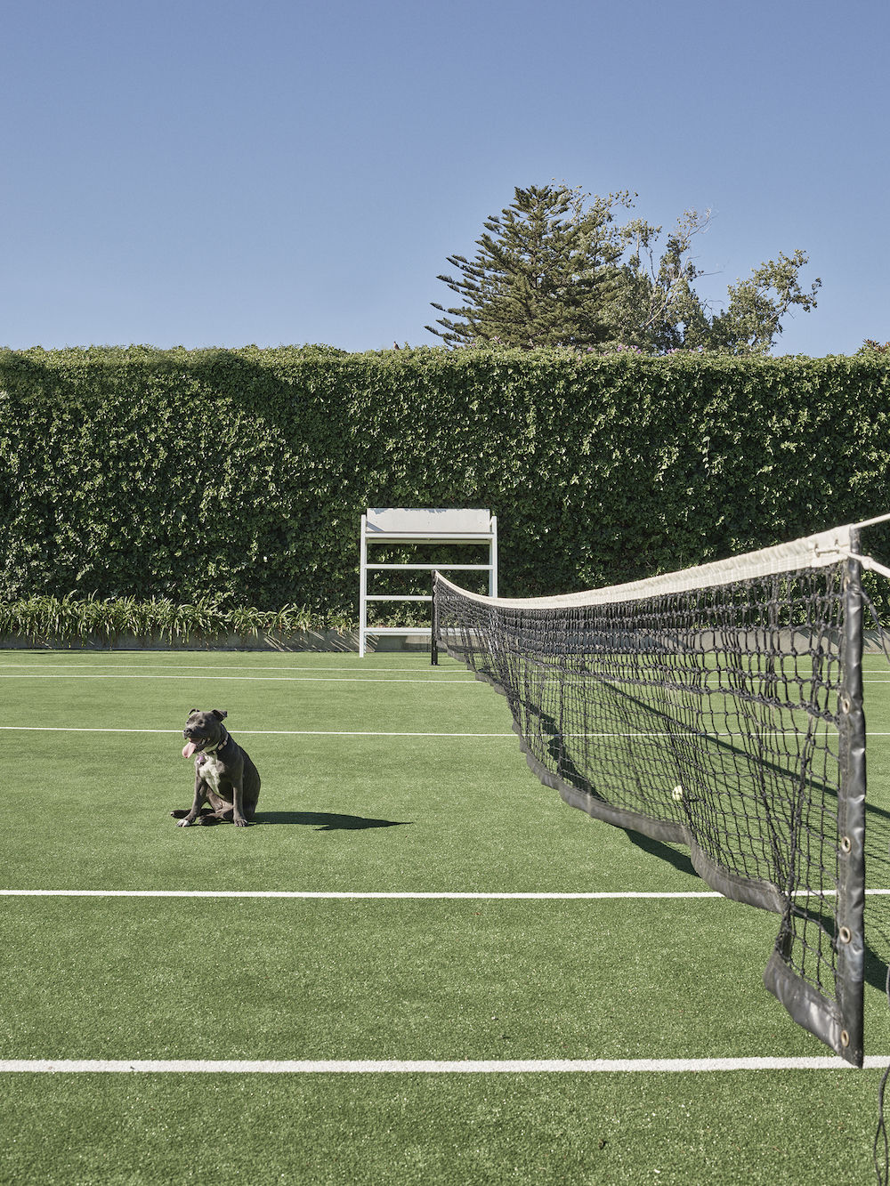 Robson Rak Architects – Magnolia House